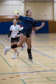 Bild 193 - F TSV Ellerau - HSG Tills Loewen 08 : Ergebnis: 16:18